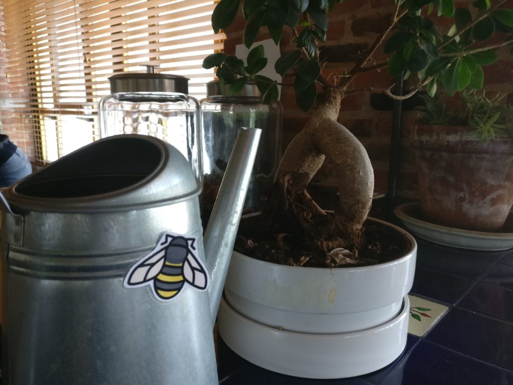 radish lab chores bumblebee